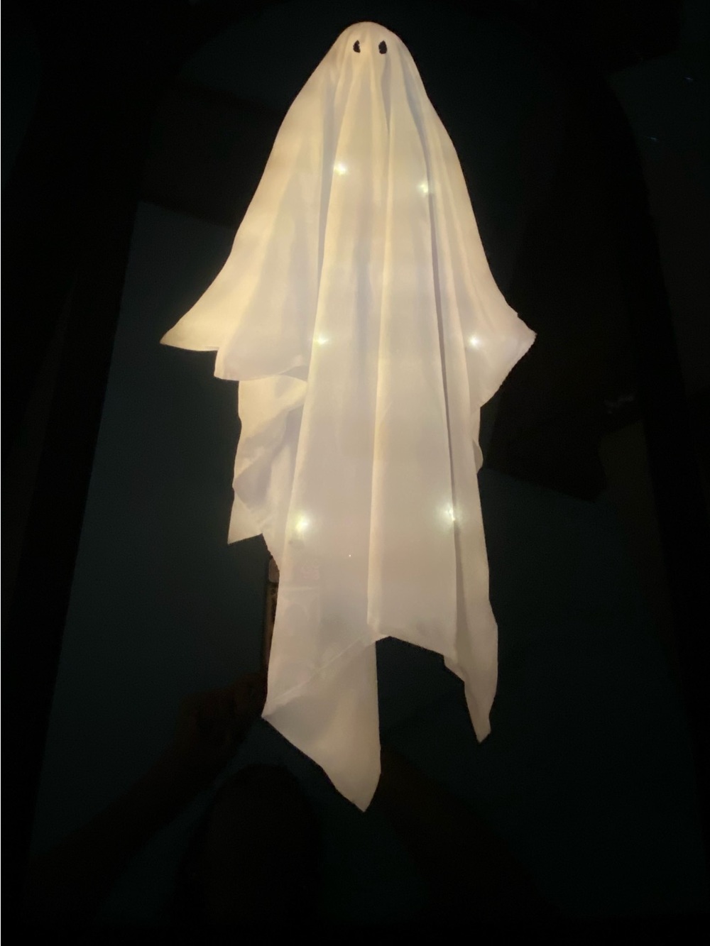 Viral Martha Stewart LED ghost mirror with twinkling ghost